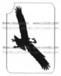 Falco Rapace - Pacchetto Stencil 5 pz - 6x12 cm