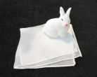 Silk to Rabbit - Il Coniglio dal Fazzoletto