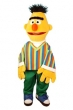 Bert - SesameStreet - 65 cm Pupazzo