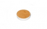 BRONZO 4ml (4 g) Aquacolor Ricambio Metallizzato Kryolan Truccabimbi