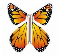 Farfalla Magica Monarch Butterfly - al pz