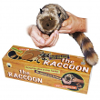 Procione Raccoon - Pupazzo a Molla 100% Pelo Sintetico