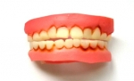 Denti da Pazzo Morbidi