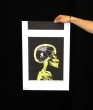 Bacchetta Magica Radiografia Ragno 40 cm x 60 cm v.2.0 - MTC