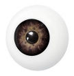 Occhio MARRONE Bulbo Oculare Artificiale
