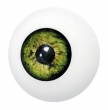 Occhio VERDE Bulbo Oculare Artificiale