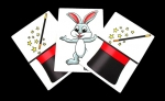 Coniglio Magico Gioca a Nascondino - MTC